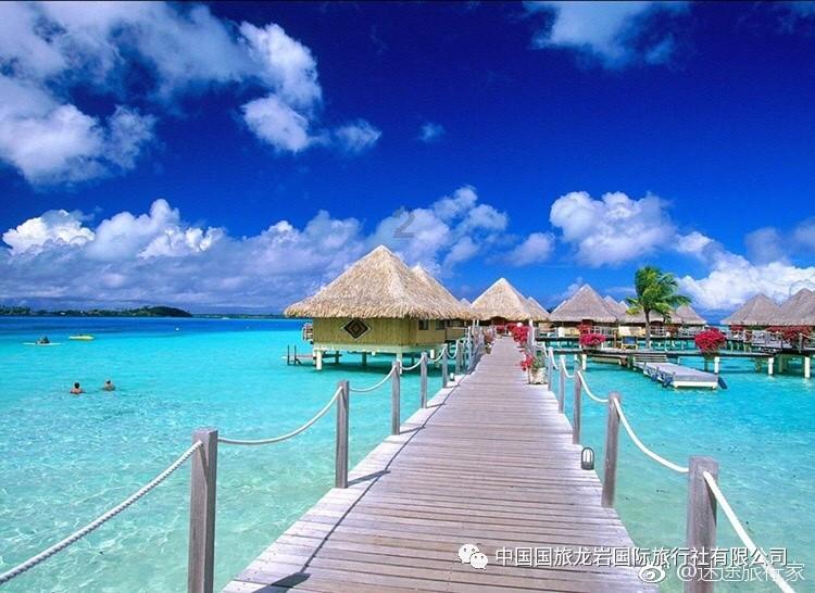 逃离梦想花园